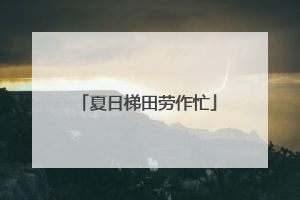 夏日梯田劳作忙