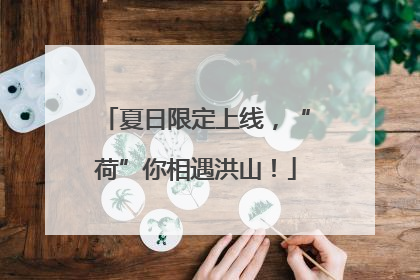 夏日限定上线，“荷”你相遇洪山！