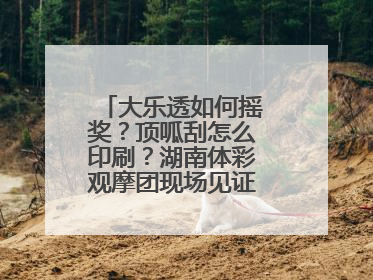 大乐透如何摇奖？顶呱刮怎么印刷？湖南体彩观摩团现场见证“阳光开奖”