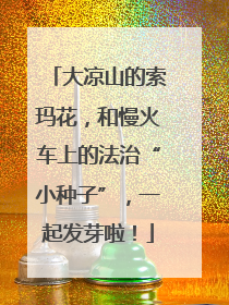 大凉山的索玛花，和慢火车上的法治“小种子”，一起发芽啦！