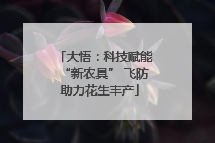 大悟：科技赋能“新农具” 飞防助力花生丰产