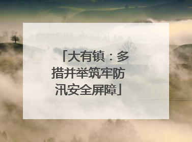 大有镇：多措并举筑牢防汛安全屏障