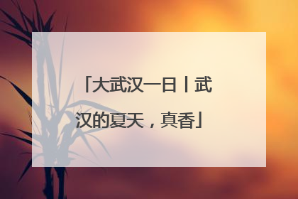 大武汉一日丨武汉的夏天，真香