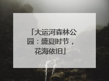 大运河森林公园：盛夏时节，花海依旧