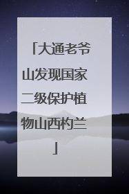 大通老爷山发现国家二级保护植物山西杓兰