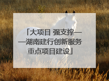 大项目 强支撑——湖南建行创新服务重点项目建设