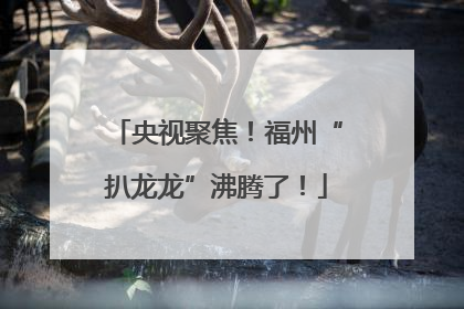 央视聚焦！福州“扒龙龙”沸腾了！
