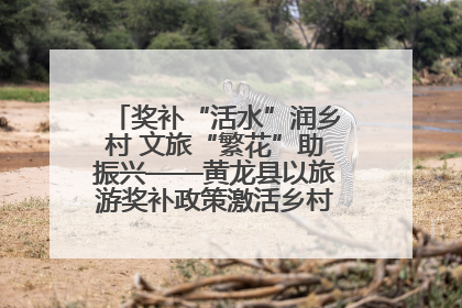 奖补“活水”润乡村 文旅“繁花”助振兴——黄龙县以旅游奖补政策激活乡村振兴新动能