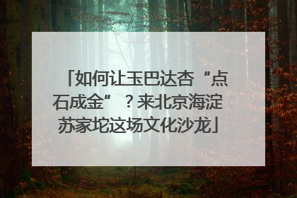 如何让玉巴达杏“点石成金”？来北京海淀苏家坨这场文化沙龙