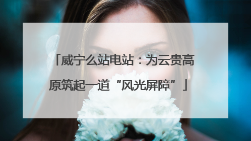 威宁么站电站：为云贵高原筑起一道“风光屏障”
