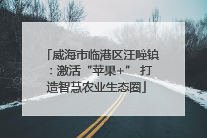 威海市临港区汪疃镇：激活“苹果+” 打造智慧农业生态圈