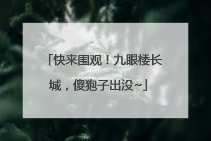 快来围观！九眼楼长城，傻狍子出没~
