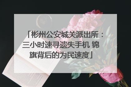 彬州公安城关派出所：三小时速寻遗失手机 锦旗背后的为民速度