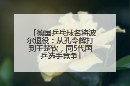 德国乒乓球名将波尔退役：从孔令辉打到王楚钦，同5代国乒选手竞争
