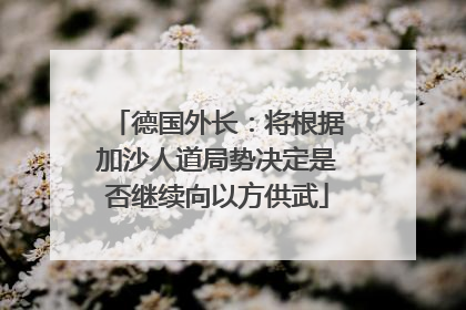 德国外长：将根据加沙人道局势决定是否继续向以方供武