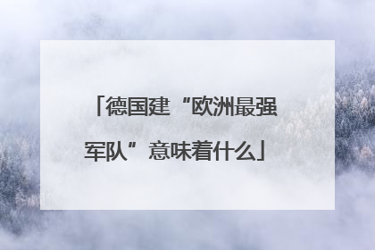 德国建“欧洲最强军队”意味着什么