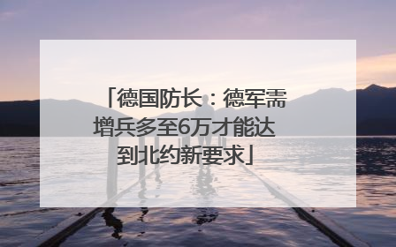 德国防长：德军需增兵多至6万才能达到北约新要求