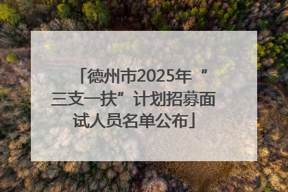 德州市2025年“三支一扶”计划招募面试人员名单公布