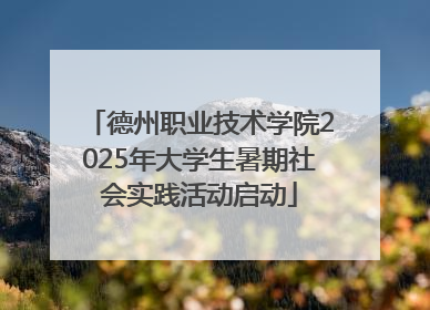 德州职业技术学院2025年大学生暑期社会实践活动启动
