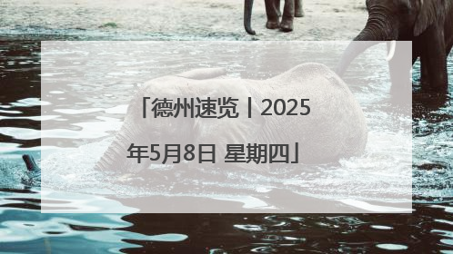 德州速览丨2025年5月8日 星期四