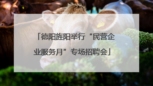德阳旌阳举行“民营企业服务月”专场招聘会