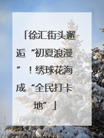 徐汇街头邂逅“初夏浪漫”！绣球花海成“全民打卡地”