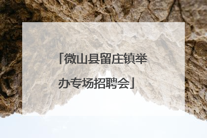 微山县留庄镇举办专场招聘会