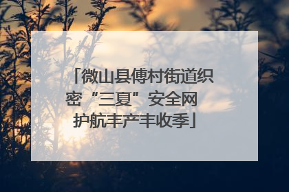 微山县傅村街道织密“三夏”安全网 护航丰产丰收季