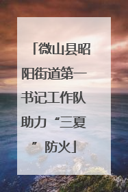 微山县昭阳街道第一书记工作队助力“三夏”防火
