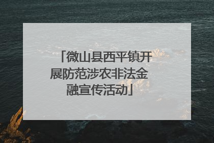 微山县西平镇开展防范涉农非法金融宣传活动
