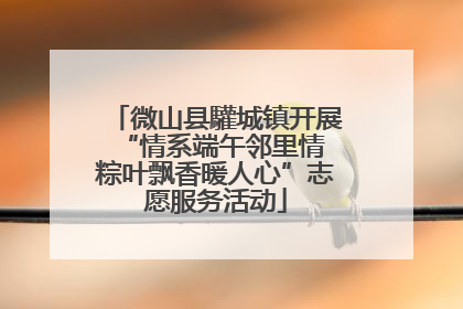 微山县驩城镇开展“情系端午邻里情 粽叶飘香暖人心”志愿服务活动