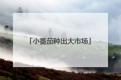 小番茄种出大市场