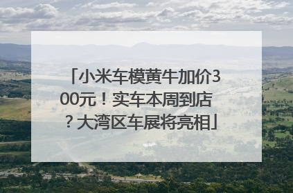 小米车模黄牛加价300元！实车本周到店？大湾区车展将亮相