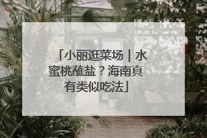 小丽逛菜场｜水蜜桃蘸盐？海南真有类似吃法