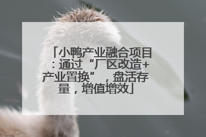小鸭产业融合项目：通过“厂区改造+产业置换”，盘活存量，增值增效