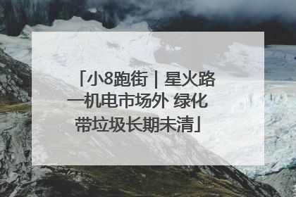 小8跑街｜星火路一机电市场外 绿化带垃圾长期未清
