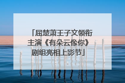 屈楚萧王子文领衔主演《有朵云像你》剧组亮相上影节