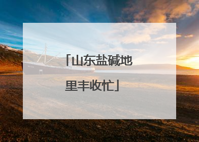 山东盐碱地里丰收忙
