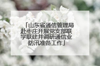 山东省通信管理局赴枣庄开展党支部联学联建并调研通信业防汛准备工作