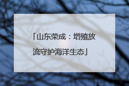 山东荣成：增殖放流守护海洋生态
