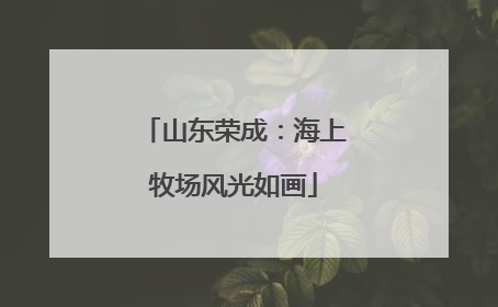 山东荣成：海上牧场风光如画