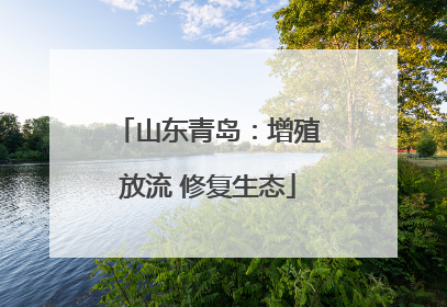 山东青岛：增殖放流 修复生态