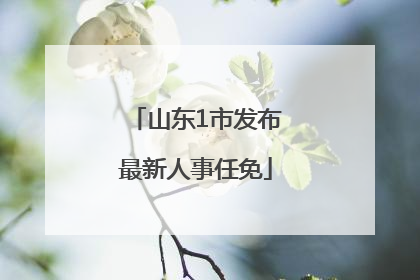 山东1市发布最新人事任免