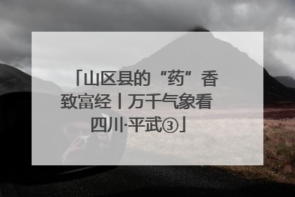 山区县的“药”香致富经丨万千气象看四川·平武③