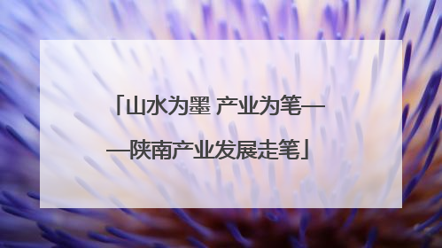 山水为墨 产业为笔——陕南产业发展走笔