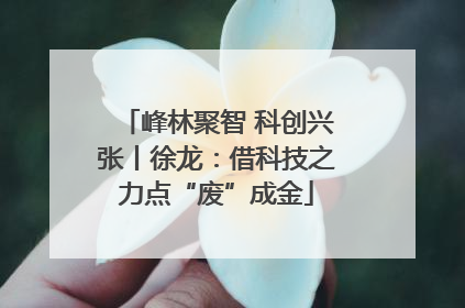 峰林聚智 科创兴张丨徐龙：借科技之力点“废”成金