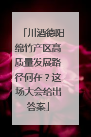 川酒德阳绵竹产区高质量发展路径何在？这场大会给出答案