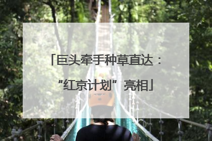 巨头牵手种草直达：“红京计划”亮相