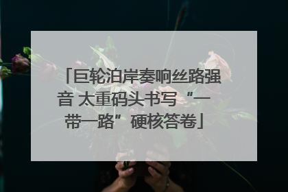 巨轮泊岸奏响丝路强音 太重码头书写“一带一路”硬核答卷