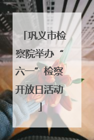 巩义市检察院举办“六一”检察开放日活动